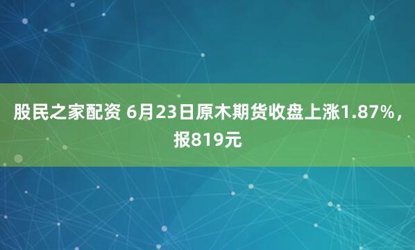 股民之家配资 6月23日原木期货收盘上涨1.87%，报819元