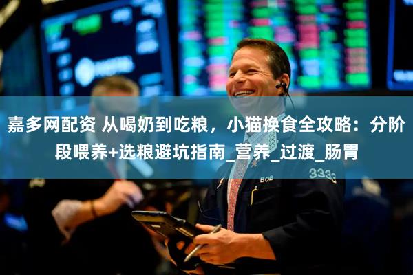 嘉多网配资 从喝奶到吃粮，小猫换食全攻略：分阶段喂养+选粮避坑指南_营养_过渡_肠胃