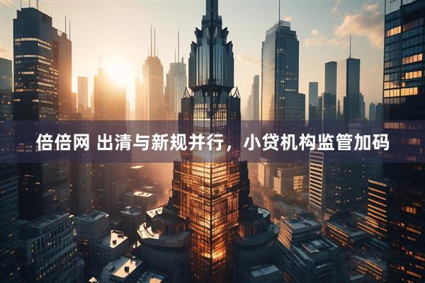 倍倍网 出清与新规并行，小贷机构监管加码